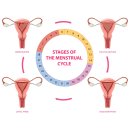 마추펴추한의원 이미지