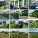 대원총업 태양광발전소 | 태양광 모듈청소 모듈세척 패널청소 패널세척 판넬청소 판넬세척 로봇청소 전문업체