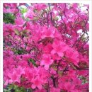 답십리부동산공인중개사사무소 이미지