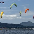 (사)제주특별자치도관광협회 이미지