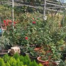 장암주유소 이미지