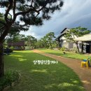 여주365공인중개사사무소 | 매매] 여주시 산북면 양평생활권 소나무가 멋진정원 #황토길 있는 마당 #여주 전원주택&amp; 양평공인중개사