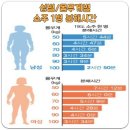 소주 1병 마신 후 알콜 분해 시간 이미지