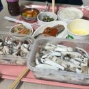 빨강파랑노래연습장 | 2026년 5월, 진심 어린 시간 끝에 행복이 피어나는 이츠미의 5월 일상 기록
