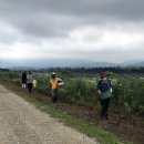 노곡1리 이미지