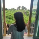 모아민박 이미지