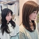 끌라로헤어 이미지