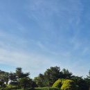 해비치골프연습장 | 제주 내돈내산 라운딩 해비치CC 2인 노캐디 후기 및 진행상황, 카트컨디션