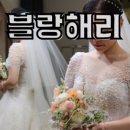 연쥬얼리토탈 이미지