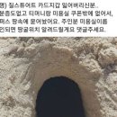 질스튜어트 지갑을 주운 두더지.jpg 이미지