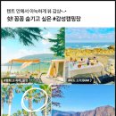 2월 일상