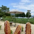 놀담 펜션 이미지