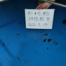 (주)씨엠통상 네이버블로그