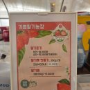 기쁨농장 | 남양주, 이색 데이트 코스 아이와 가기 좋은 곳 딸기체험 [기쁨 딸기 체험농장]