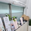 본에스테틱스킨&바디 이미지