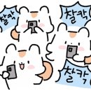 석곶체육관 이미지