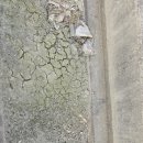 소청보건진료소 화장실 | 코리아둘레길 104회 20260105 남파랑길 79, 80코스 신상정류장에서 마량항까지