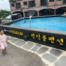 반딧불 프리미엄 이미지