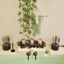 산골강남 이미지