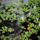 인천환경공단 청라사업소 이미지