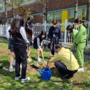 대안여자중학교 이미지