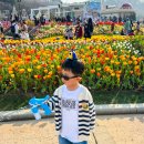 자연밸리 관광농원 | 에버랜드 판다월드 세컨하우스 입장권 큐패스 예약 트립닷컴 으로~ (+에버랜드 튤립축제, 로스트밸리)