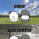 스타정육점 네이버블로그