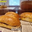 하이단양하이디