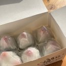 [공지] 햄부기햄북햄복행복~