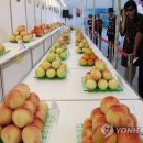 김영만농장 이미지