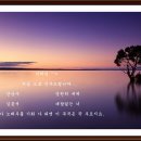 민채