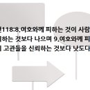 하나님께 피하는 것이 사람을 신뢰하는 것보다 낫다 이미지