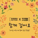 바나나패션