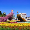 금산인삼관 이미지