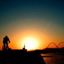 태양을향하여 이미지