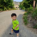 하빈1천 | 블챌 주간일기, 두번째 기록