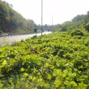 동편농장 이미지