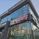 대구강아지분양 도로시펫 이미지