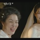 제이하영