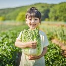 명품건강체험 한국일보