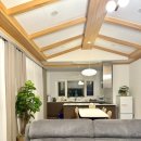 스테이돌덕 이미지