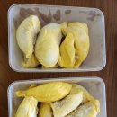 음식천국 이미지