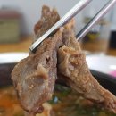 강원흑염소 이미지