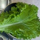 순옥 | [청주 순옥집 점심 후기] 가브리정식 + 불고기크림들깨칼국수 | 보리밥 무한리필 맛집