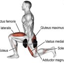 JL fitness 이미지