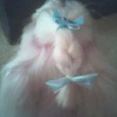 새론헤어 이미지