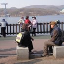 분당-281 이미지