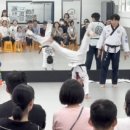 위올태권도 이미지