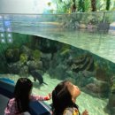 싱글벙글사 이미지