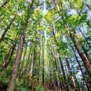 안산자락길 이미지